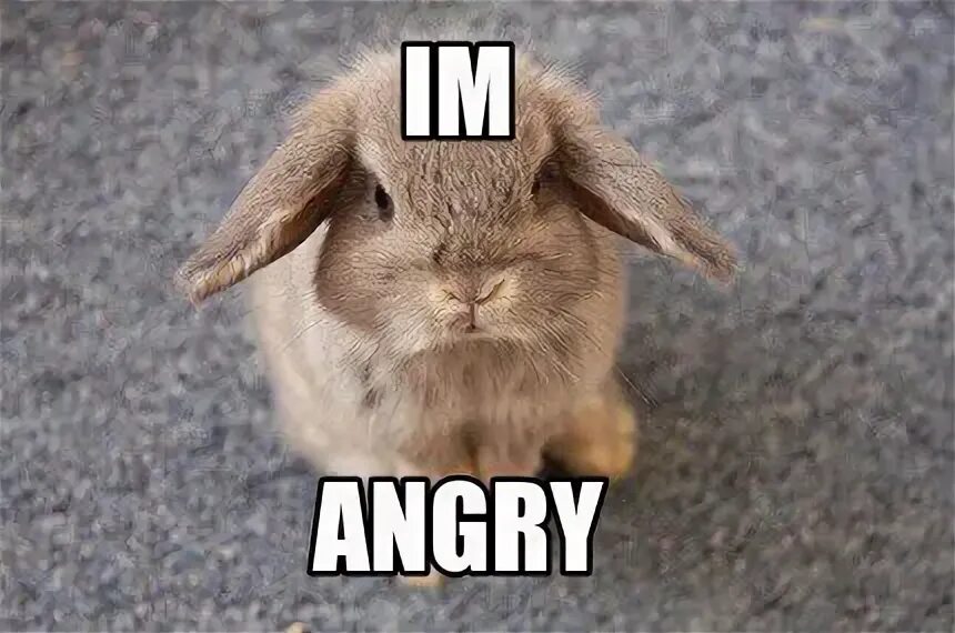 I m angry when i m. No talk me i angy. no talk me i angry. don&#039;t talk me im angry. angry memes.