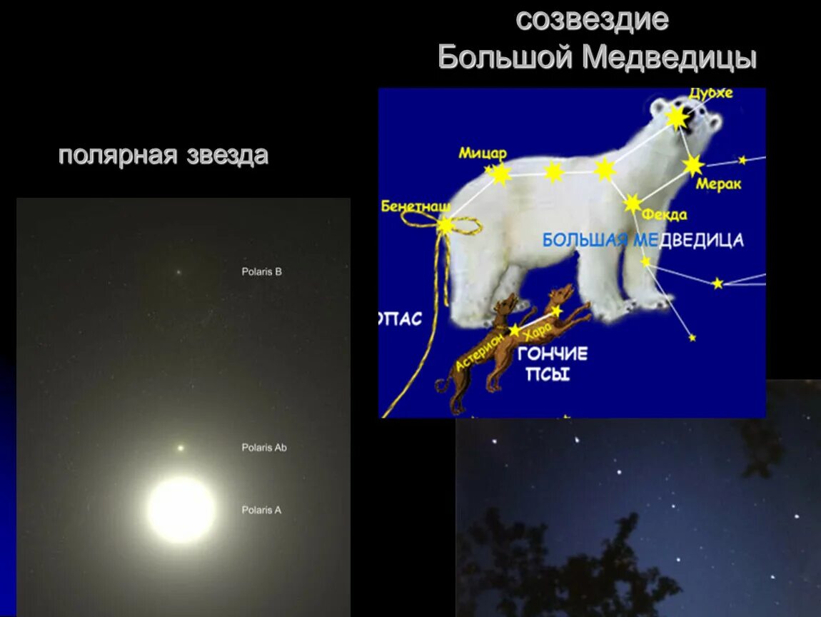 Большая и малая Медведица Полярная звезда. Большая Медведица Созвездие Альфа звезда. Название звёзд большой медведицы и малой медведицы. Большая и малая Медведица Созвездие с названиями звезд. Сколько полярных звезд