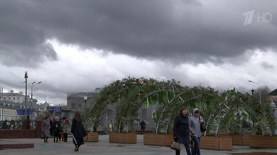 Ураган в москве (2017). Ураган май 2017 москва. Усиление ветра. Маркус вызывает ветер. Ураган 29 май 2017 москва.