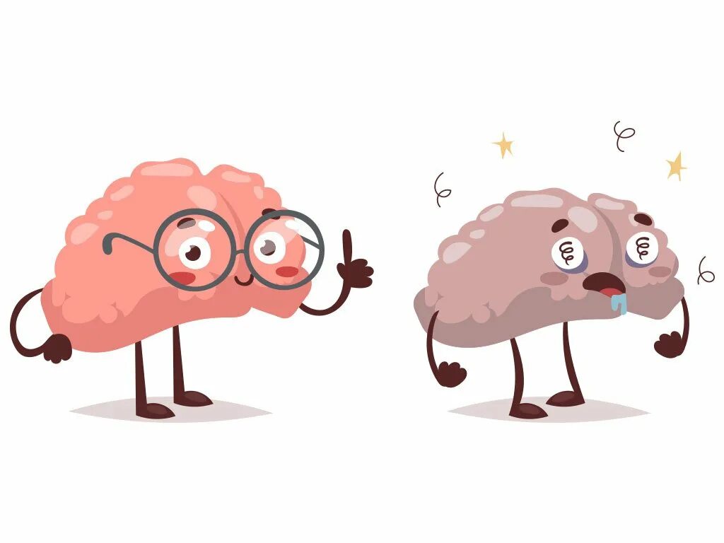 Иллюстрации глупый и умный. Мозг умного и глупого. Мозг усного и глубого человека.