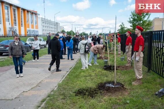 Заложили аллею. Заложили. Аллея памяти. Аллея памяти в москве. Яблони в парке 300 летия.