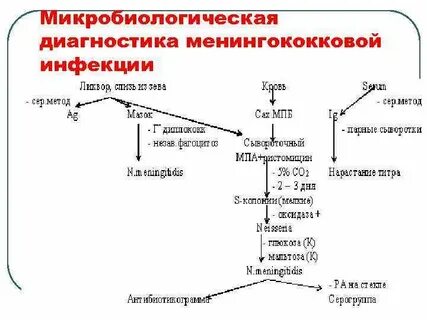 Диагностика менингококковой инфекции