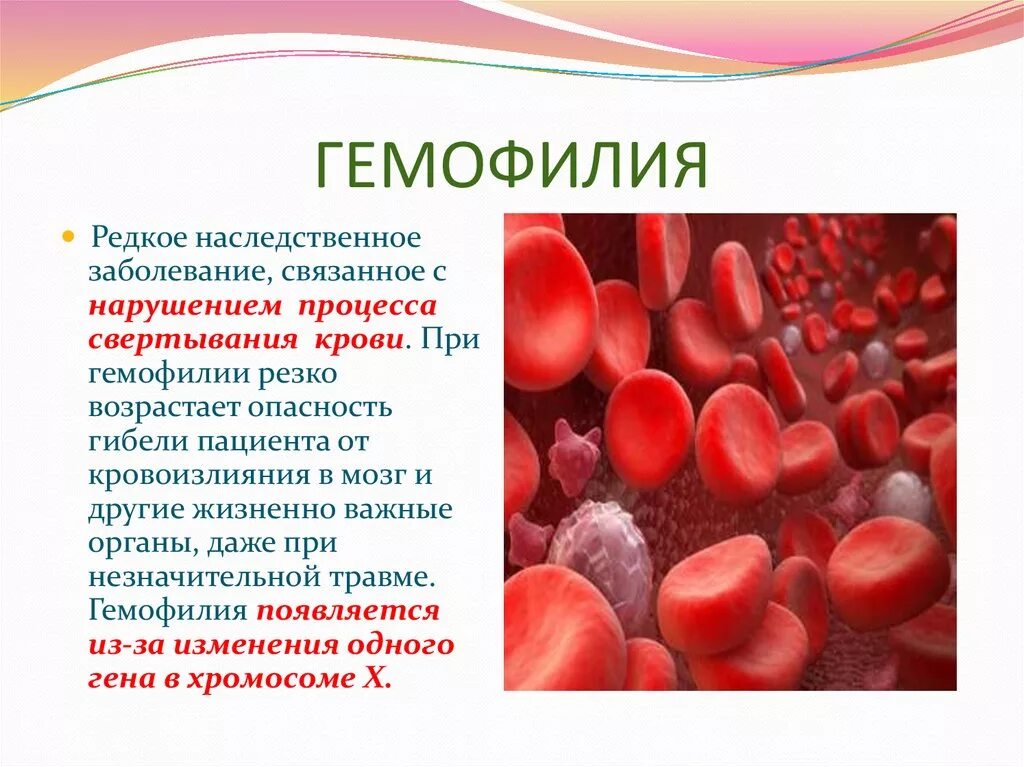 Наследственные заболевания крови. Нарушение свертываемости крови.