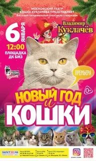 Афиша бмз брянск