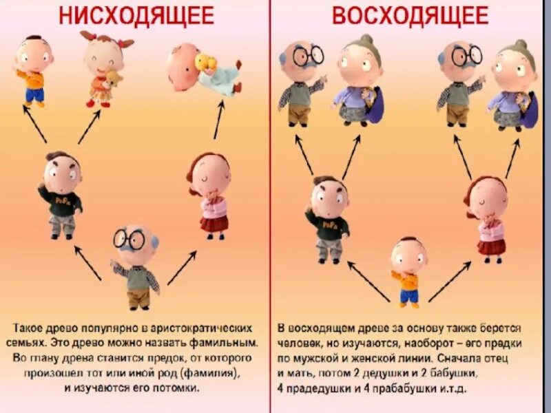 Родословное древо презентация 2 класс. Родословное дерево восходящее и нисходящее. Генеалогическое дерево для презентации. Родословная окружающий мир. Проект моя родословная.