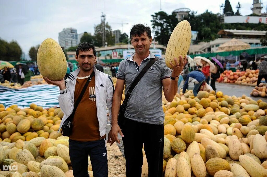 Таджики воронеж. Таджикская ярмарка. Ярмарка в Сочи Таджикистан. Дары Таджикистана. Таджики в Сочи.