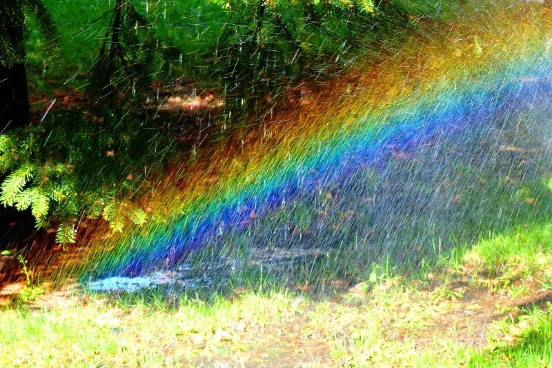 Дождливая радуга. Дождь для радуги. Солнце дождь Радуга. Ливень и Радуга. Летний дождь Радуга.