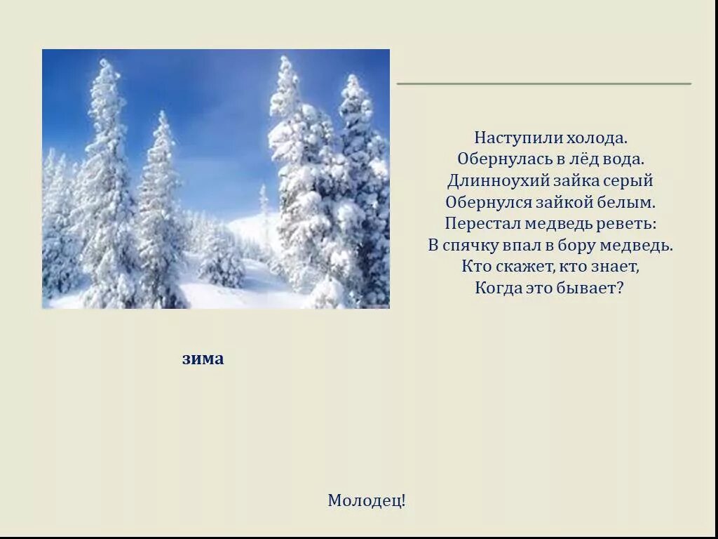 И тогда настанут холода и тогда. Наступили холода обернулась в лед вода. наступили холода обернулась в лед вода длинноухий. наступили холода. перестал медведь реветь.