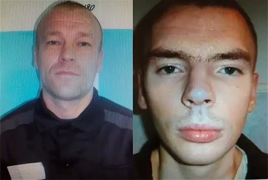 Осужденный в суде. Осужденный ленинград. Обвинение. Преступник. Осужденный.