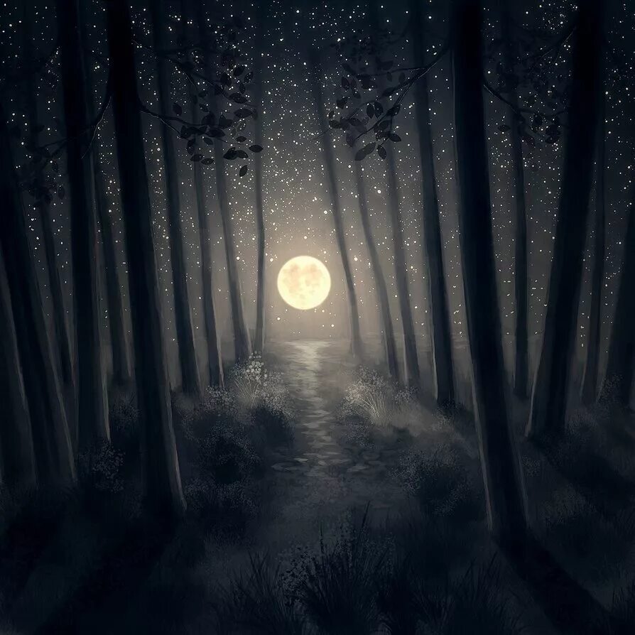 ночной лунный лес. луна в лесу. мрачный пейзаж. ночная луна. ночной лес.