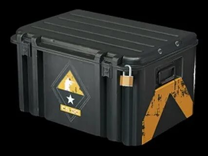 Case cs 2