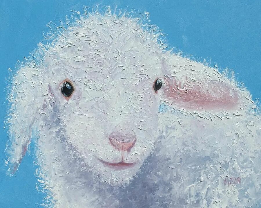 Баран живопись. Барашки в живописи. Морда овечки. Ягненок арт. Баран живопись.