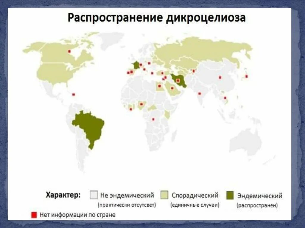 Территория распространения заболеваний называется. Дикроцелиоз эпидемиология. Дикроцелиоз распространение. Дикроцелиоз географическое распространение. Заболеваемость дикроцелиозом в мире.