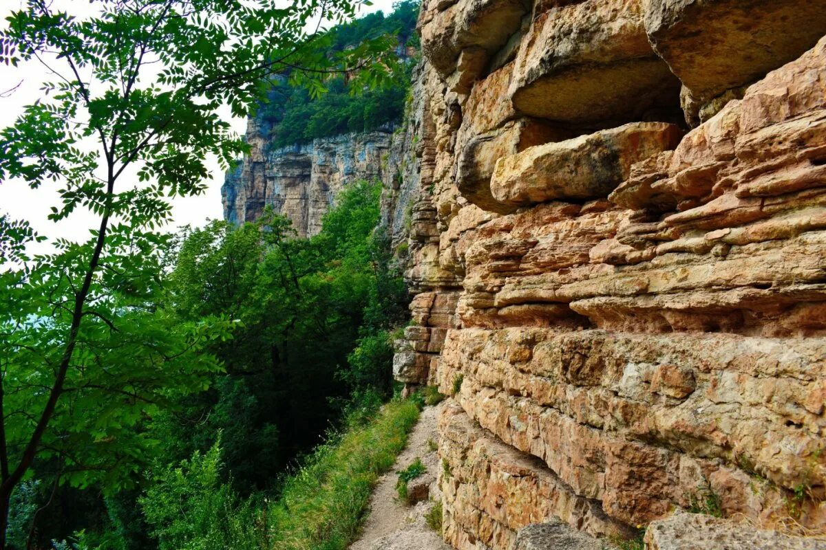 Гора мезмай. Орлиная полка Гуамское ущелье. Мезмай Орлиная полка. Орлиная полка Краснодарский край.