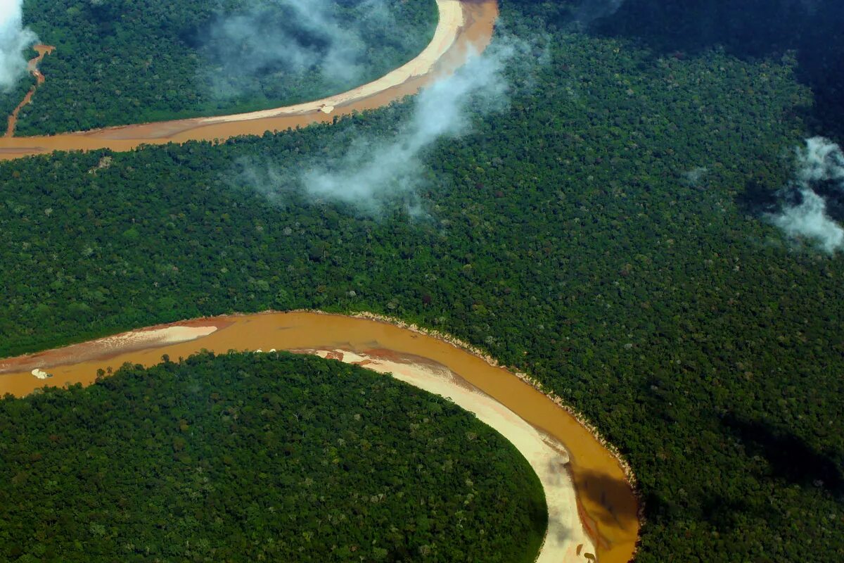 Загрязнение реки Амазонка. Воды Амазонии. Вырубка лесов Амазонии. Грязные реки Амазонии.
