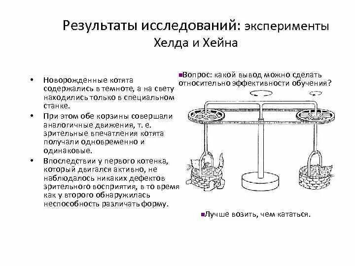 В результате эксперимента по изучению. Хелд опыт с котятами. Эксперимтв психологии. В результате эксперимента по изучению. Методы организации эксперимента.