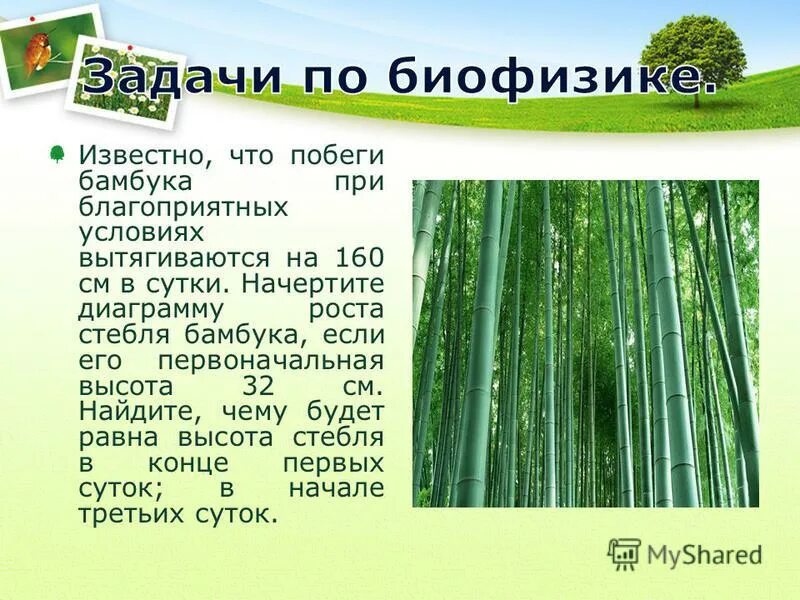 Площадь льдины 8 м2 толщина 25 см. Истинная плотность строительных материалов. Плотность бамбука равна 400 кг/м3. Плотность бамбука 400 какой наибольший. Плотность бамбука 400 какой наибольший.