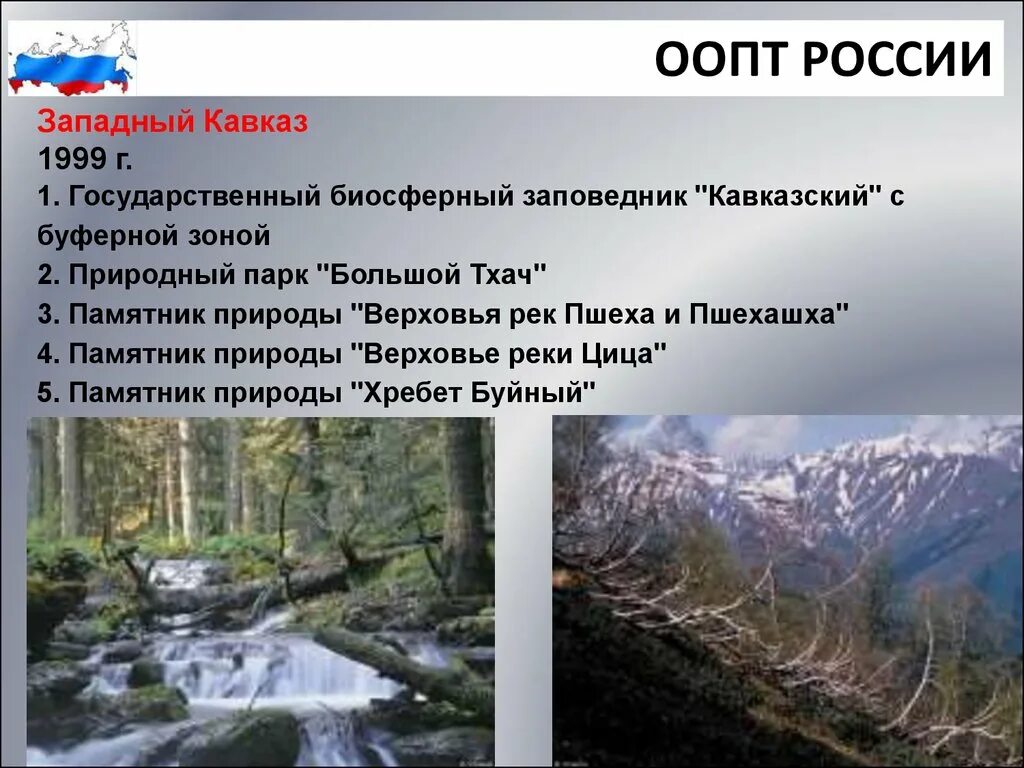 Особо охраняемые природные территории россии презентация. Особо охраняемые природные территории России. ООПТ России. ООПТ России презентация. Особо охраняемые природные территории заповедники.