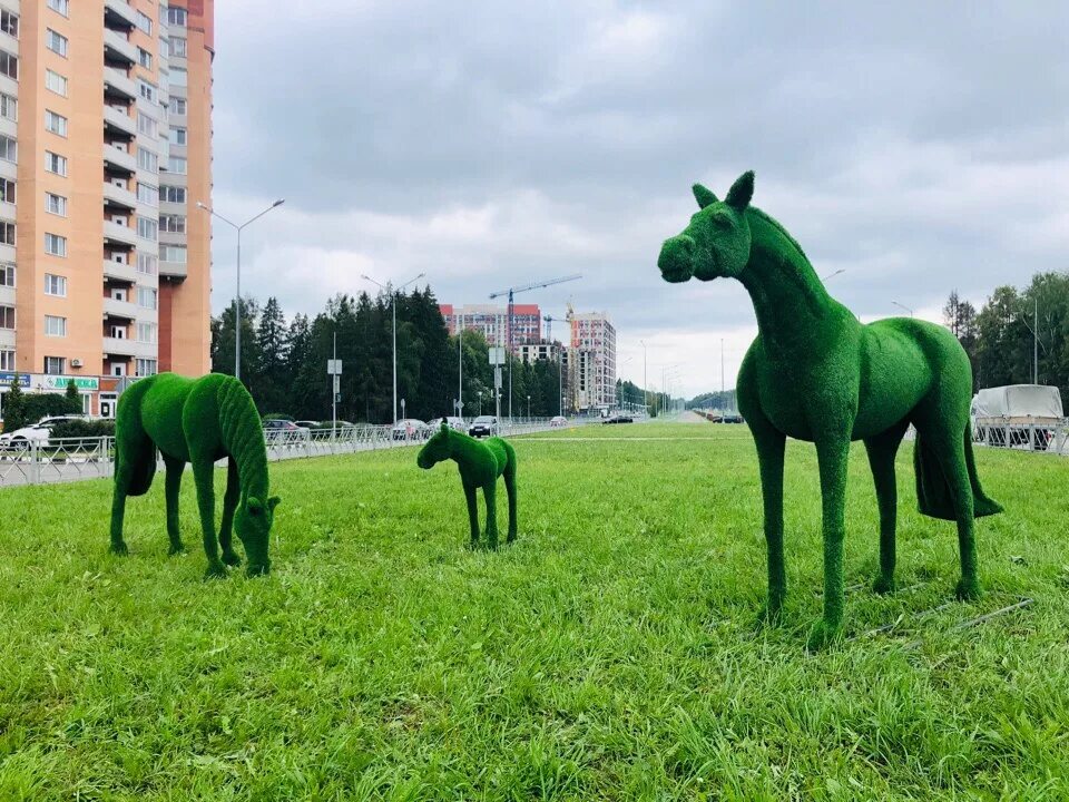 Зеленую лошадку. Зеленая лошадь. Фигуры из искусственного газона. Лошади Обнинск. Лошадь из газона.