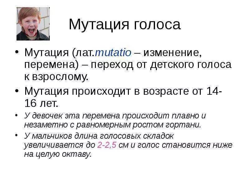 Почему у мальчиков ломается голос. Мутация голоса. причины мутации голоса у мальчиков. мутация голоса возраст. мутация голоса у мальчиков возраст.