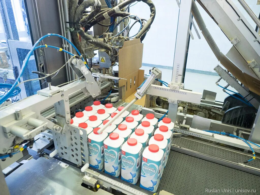 молочный завод санкт петербург