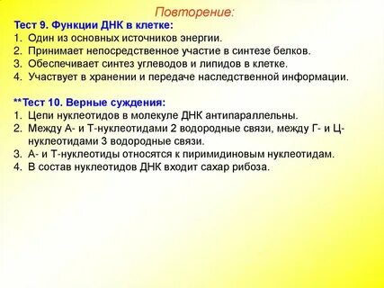 Обеспечивает синтез углеводов
