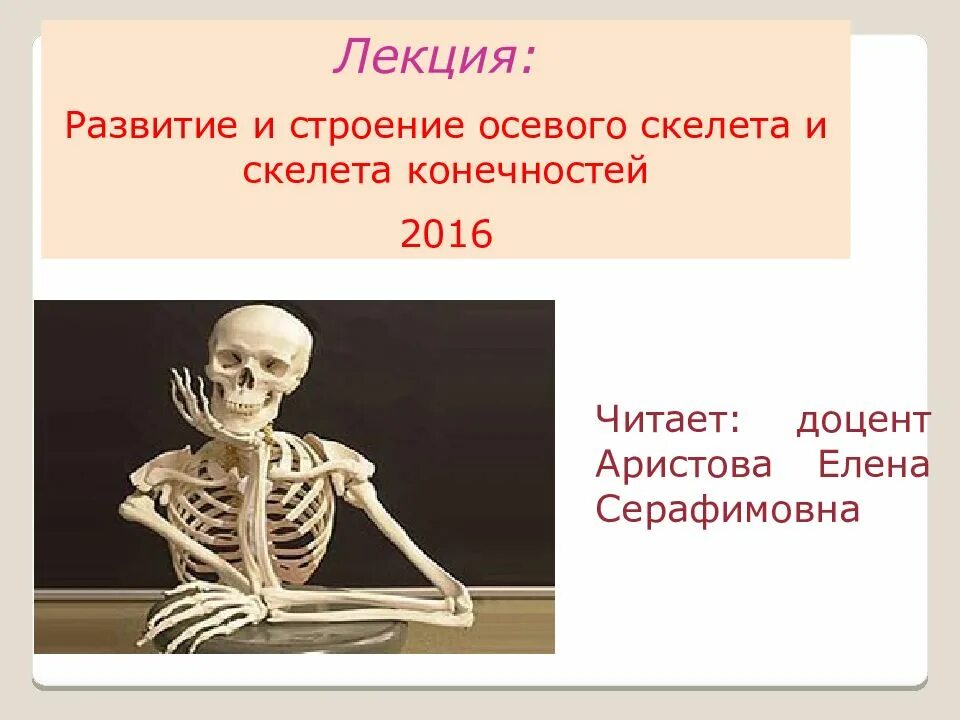 Строение осевого скелета. Осевой скелет анатомия. Осевой скелет и скелет конечностей. К внутреннему скелету относятся