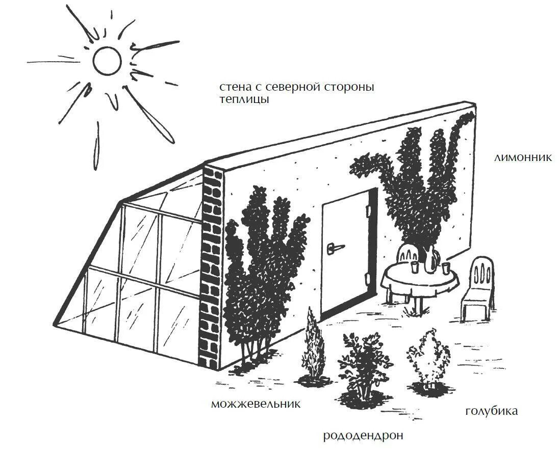 Расположение теплицы относительно сторон света. Схема расположения теплицы на участке. Место для теплицы на участке как правильно выбрать. Как правильно установить теплицу по сторонам света схема.