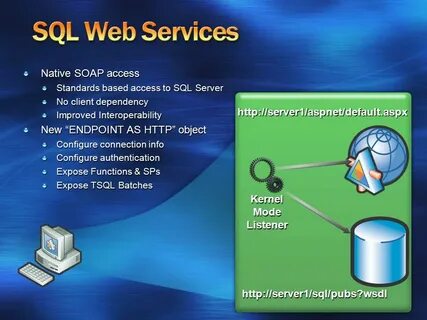 Web mysql