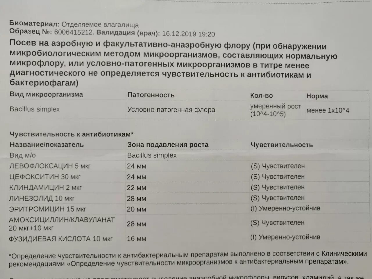 Бак посев мазка норма. Бак посев мазка при беременности норма. Анализ мазка на бак посев. Посев на микрофлору влагалища.