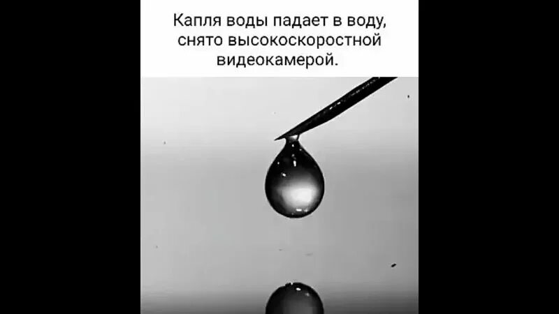 Падающая капля. Капля падает в воду. Капля в замедленной съемке. Падающие капли воды. Видео капель воды