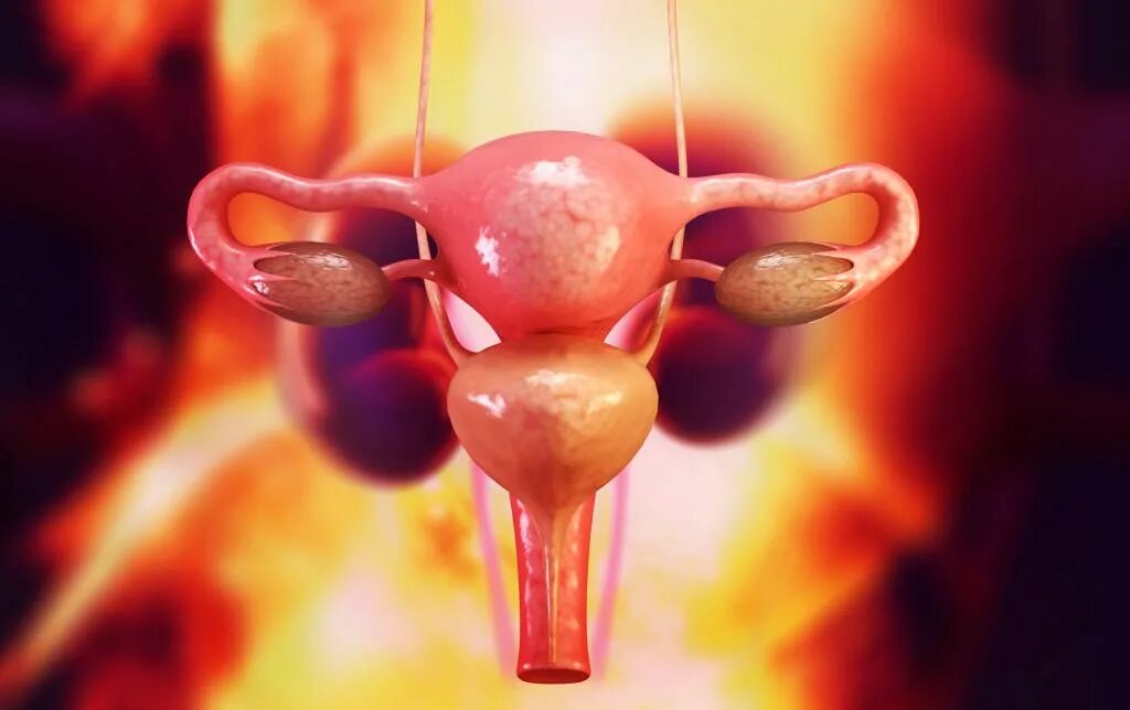 Склерокистоз яичников. Репродуктивная система женщины и ожирение.