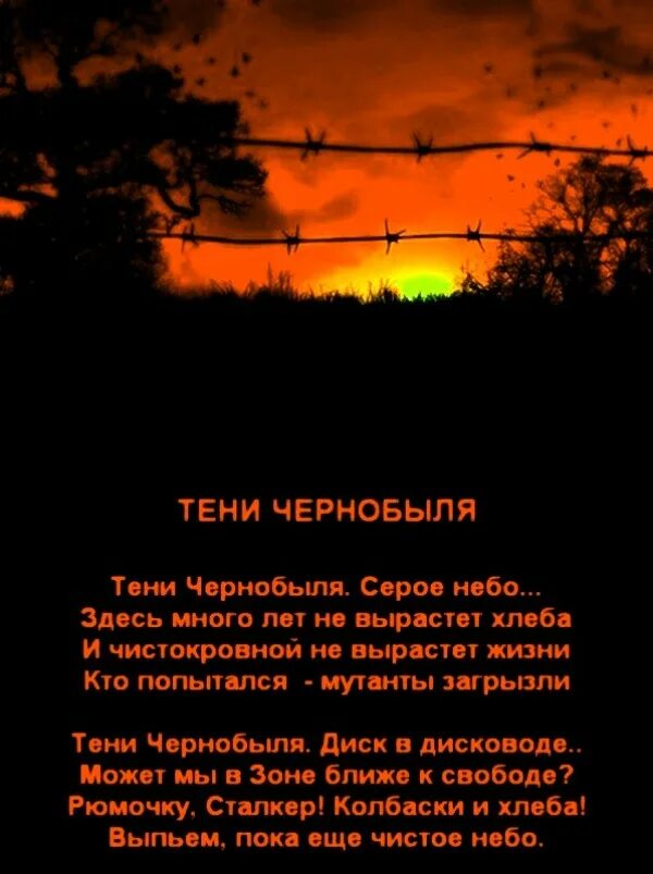 День я тень стих. Сталкер стихи. Стихи сталкер про зону. Стихи о Чернобыле. Стихотворение о Чернобыле.