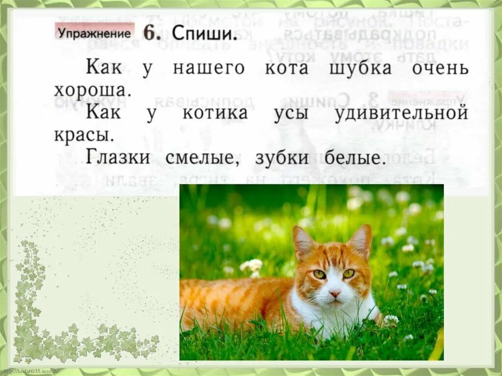 Как у нашего кота. А у котика усы удивительной красы. описание внешности животного 1 класс. открытка как у котика усы удивительной красы. как у нашего кота шубка очень.