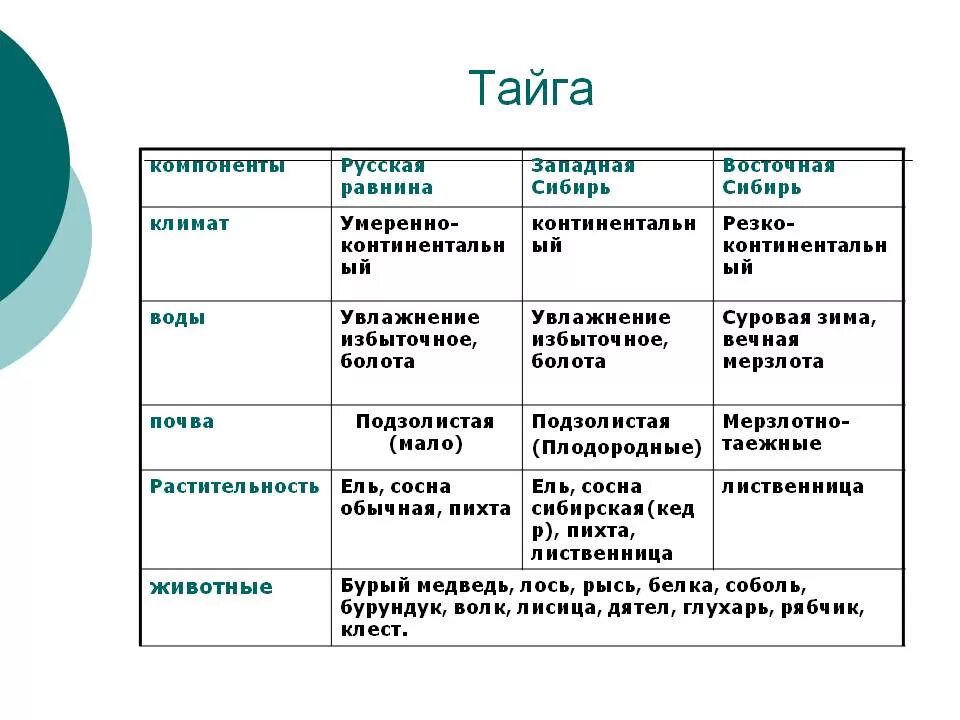 Тайга характеристика природной зоны таблица. Природная зона Тайга растительность. Леса география 8 класс таблица природные зоны Россия. Особенности природной зоны тайги. Типы почв характерны для смешанных лесов