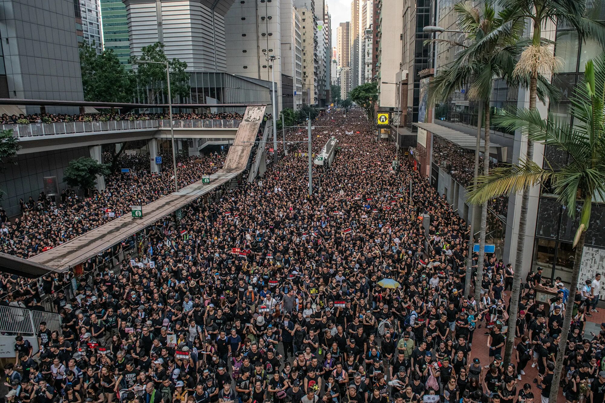Город в котором людей миллион. Гонг Конг протесты. Революция в Гонконге 2019. Гонконг перенаселение. Население Гонконга 2021.