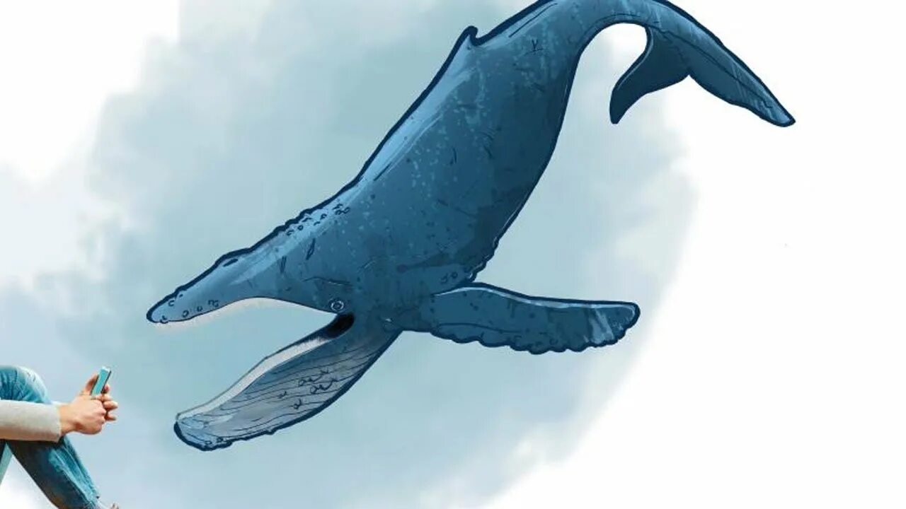 Картинка игры кит. Синий кит. Синий кит рядом с человеком. Кит рядом с человеком.