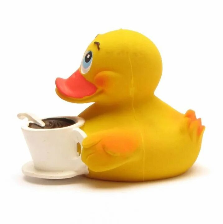 Start duck duck go