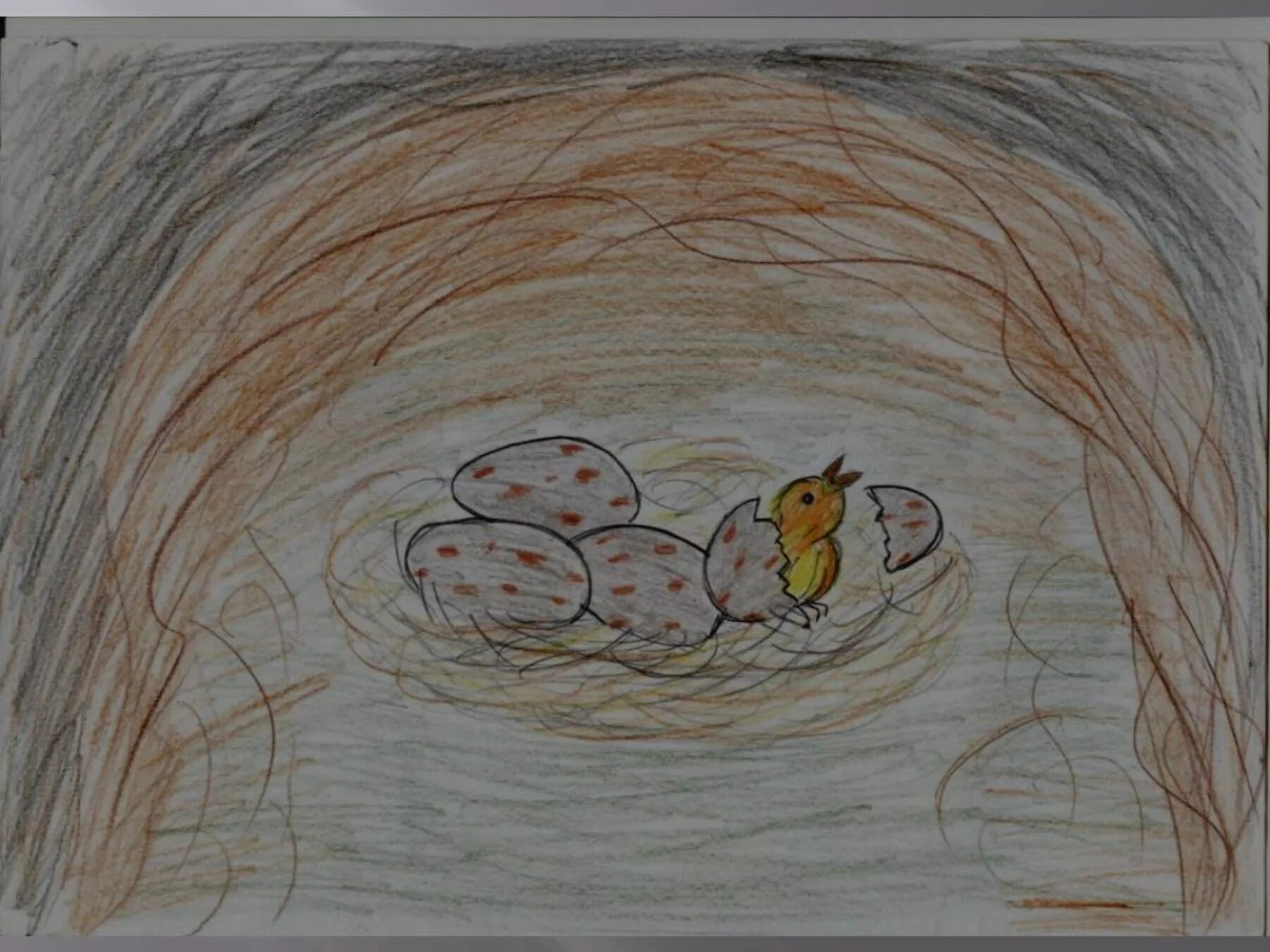 вылупился стрижонок скрип. в п астафьев стрижонок скрип. вылупился стрижонок скрип. в п астафьев стрижонок скрип. астафьев стрижонок скрип нарисовать.