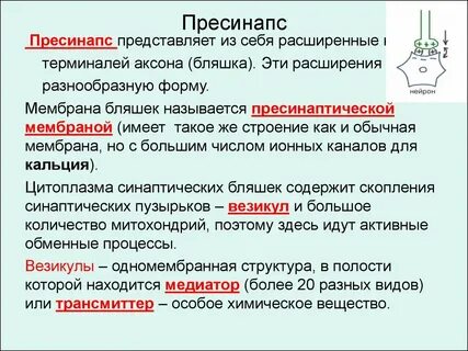 Условие бляшке