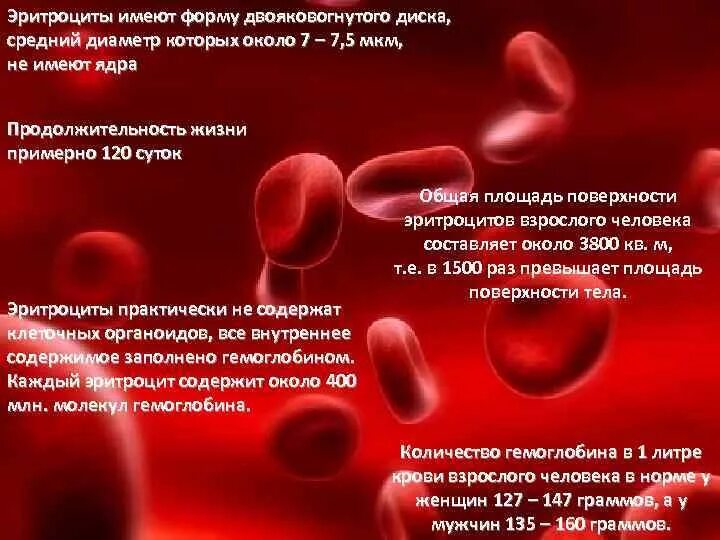 Форма эритроцитов человека. Эритроциты форма двояковогнутого диска. Эритроциты строение и функции. Почему эритроциты двояковогнутые. Двояковогнутая форма эритроцитов.