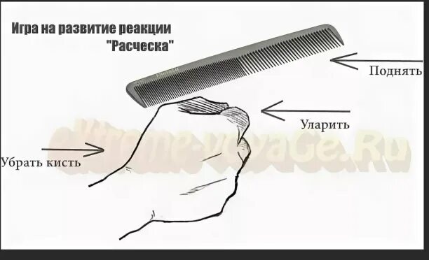 Как увеличить реакцию. Как развить реакцию. как тренировать реакцию. как улучшить реакцию. как развить реакцию в домашних условиях.
