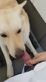 View a big collection of the best porn comics, rule 34 comics, cartoon porn and other on ...