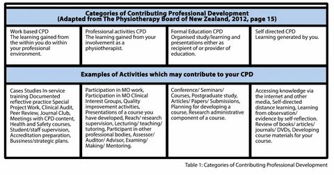 Professional Development Plan Template For Doctors Addictionary 