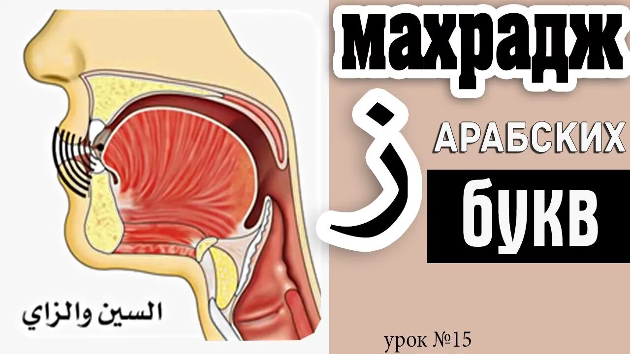 Махрадж Букв Урок #15 буква "ز" и практика - YouTube