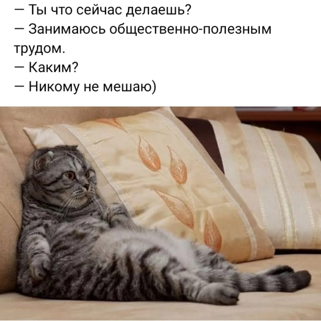 Спала никому не мешала