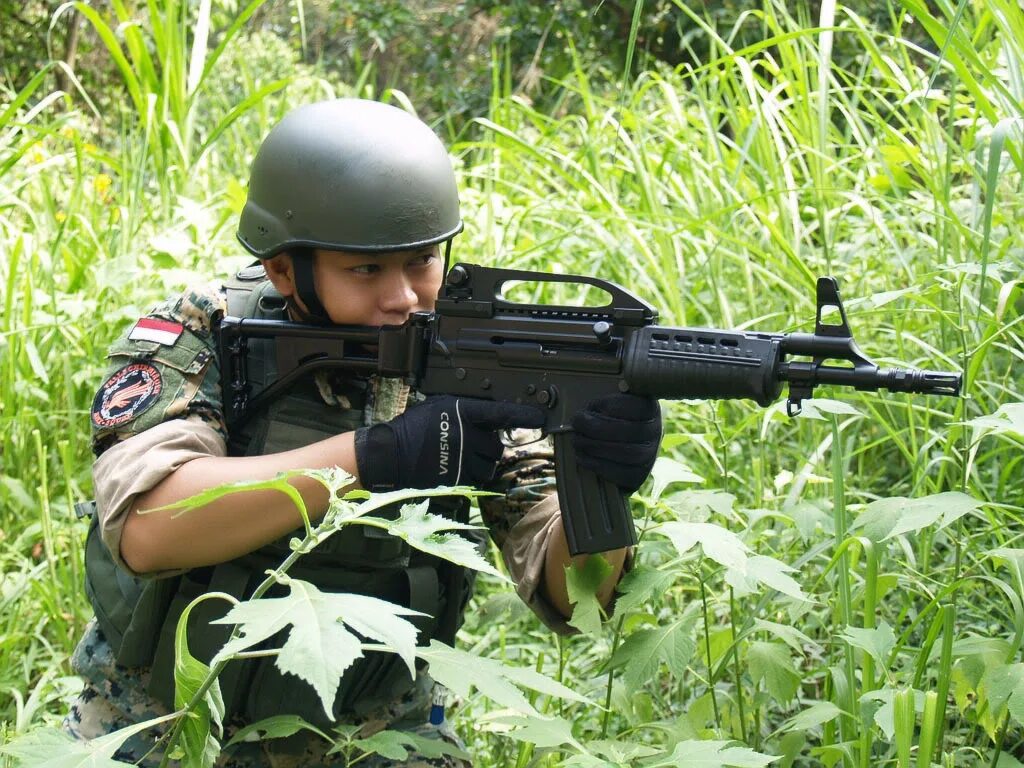 Сс 02. Pindad ss2. Pindad ss2 v2. Штурмовая винтовка Pindad ss2-v5. Автомат Индонезии.