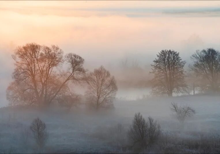 Доброе утро бьюти. Кофе и завтрак в постель. Чашка чая на подоконнике. Как будет серое утро. Как будет серое утро.