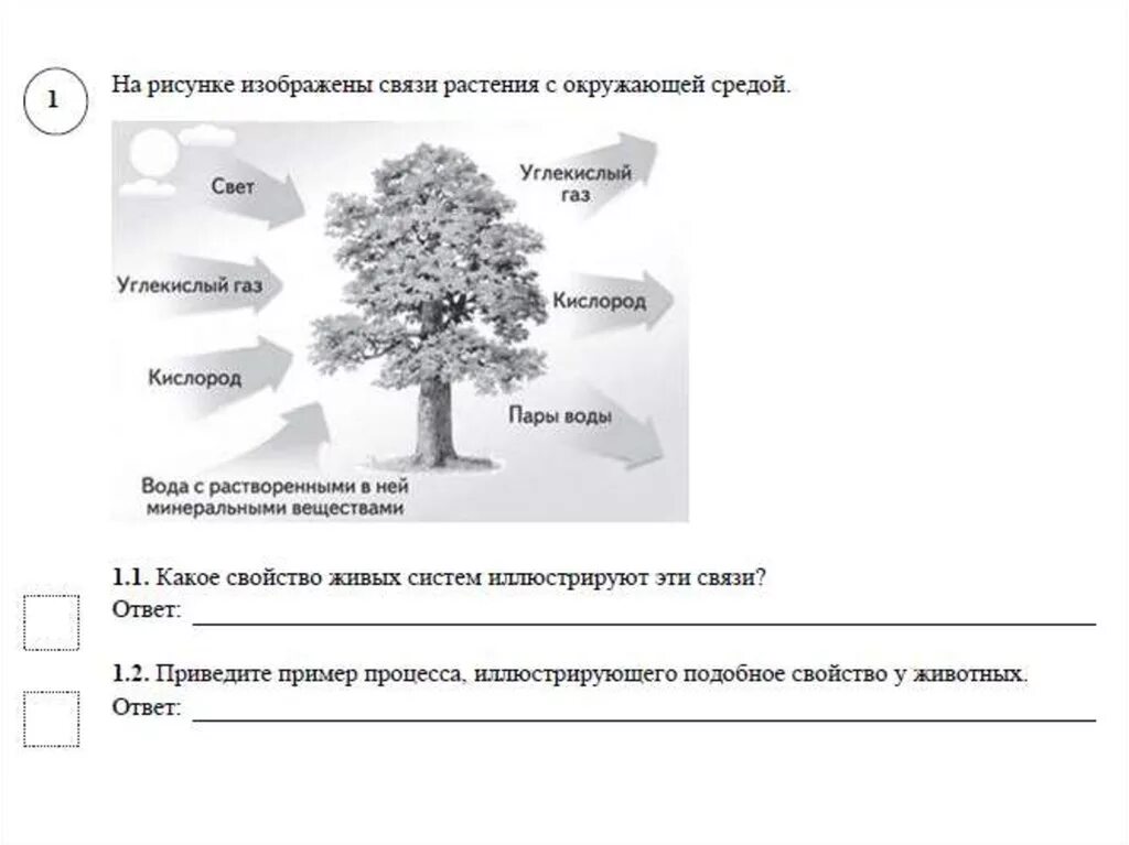 Впрочем по биологии 5 класс 2024 год