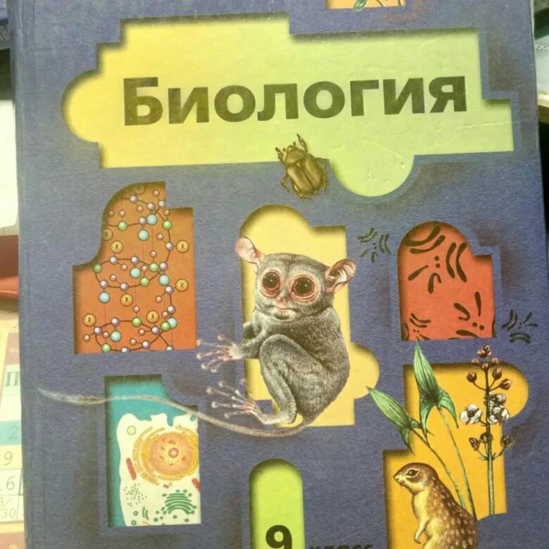 Биология 9 класс Пономарева Корнилова Чернова 2019. Биология 9 класс (Пономарева и.н.) главы. Книга по биологии 9 класс Пономарева. Биология 9 класс Пономарева Чернова Корнилова 2020. Биология 9 класс соломина шевырева